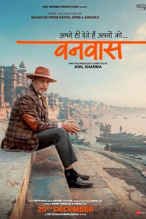 Vanvaas (2024) (DD5.1) WEB-DL | Dubbed Hindi Movie